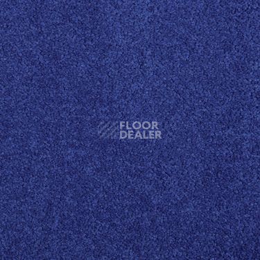 Ковровая плитка Modulyss Cambridge Xtra 55 f фото 1 | FLOORDEALER